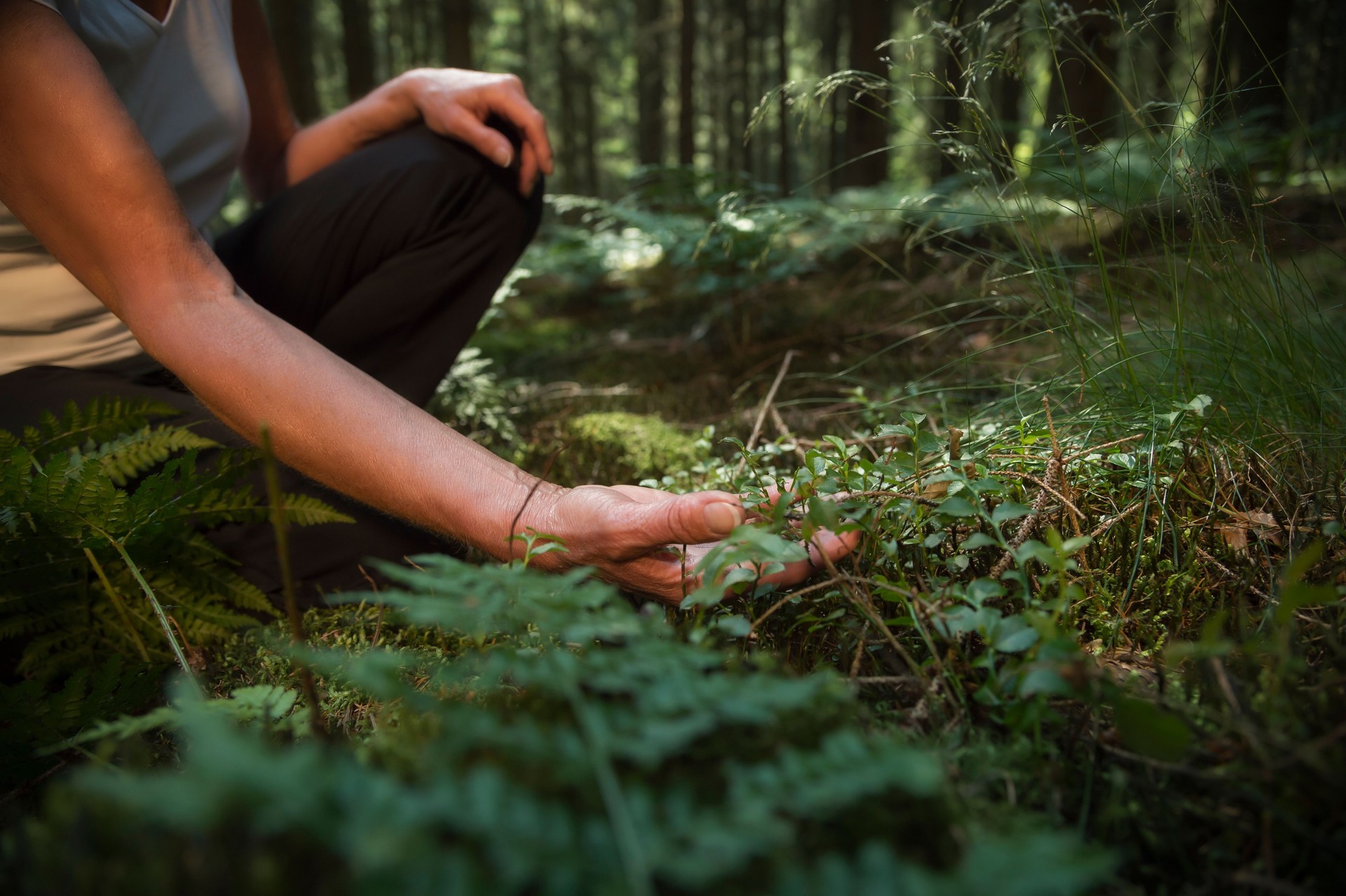 50 year old woman tasting wild herbs in the forest (Shinrin Yoku)